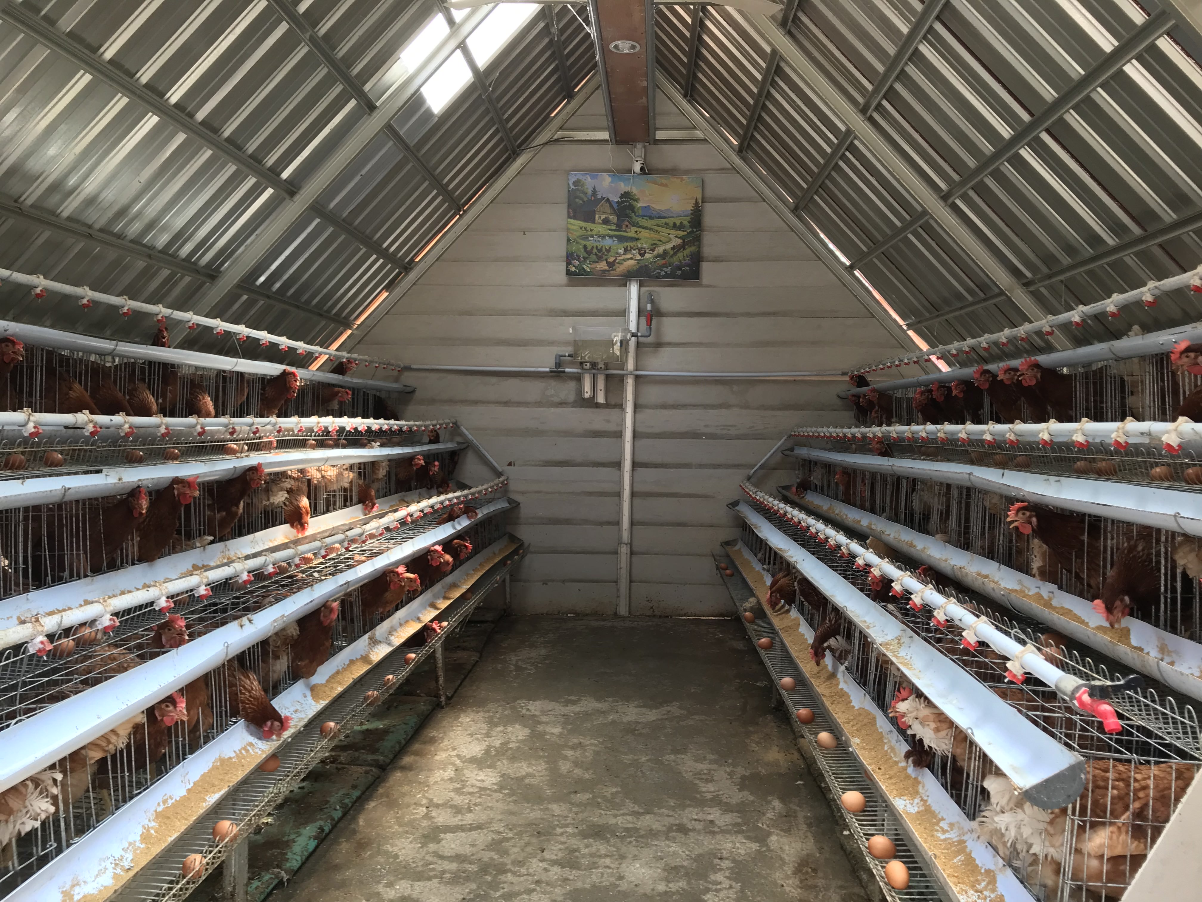 Pring Land Villa Peternakan